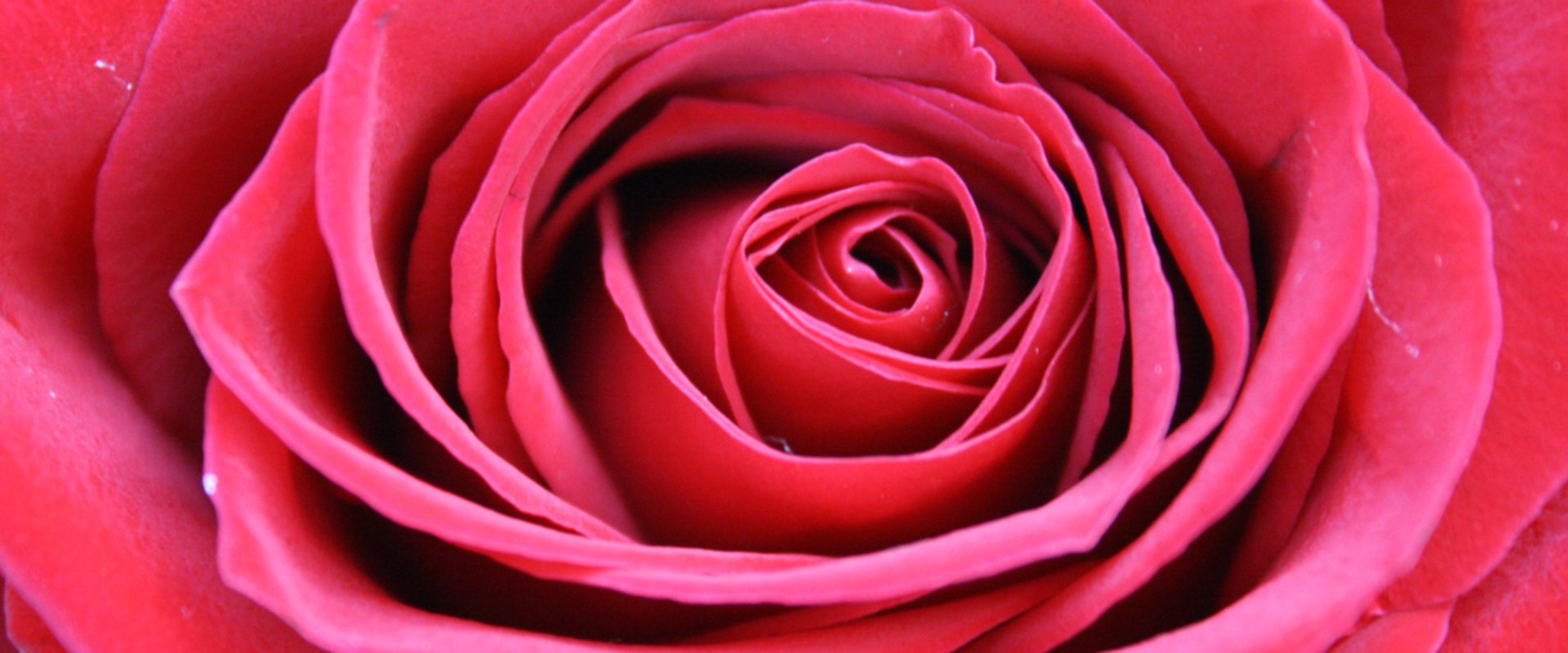 Understanding the Lens Formula: A Comprehensive Guide to Optics Formulas