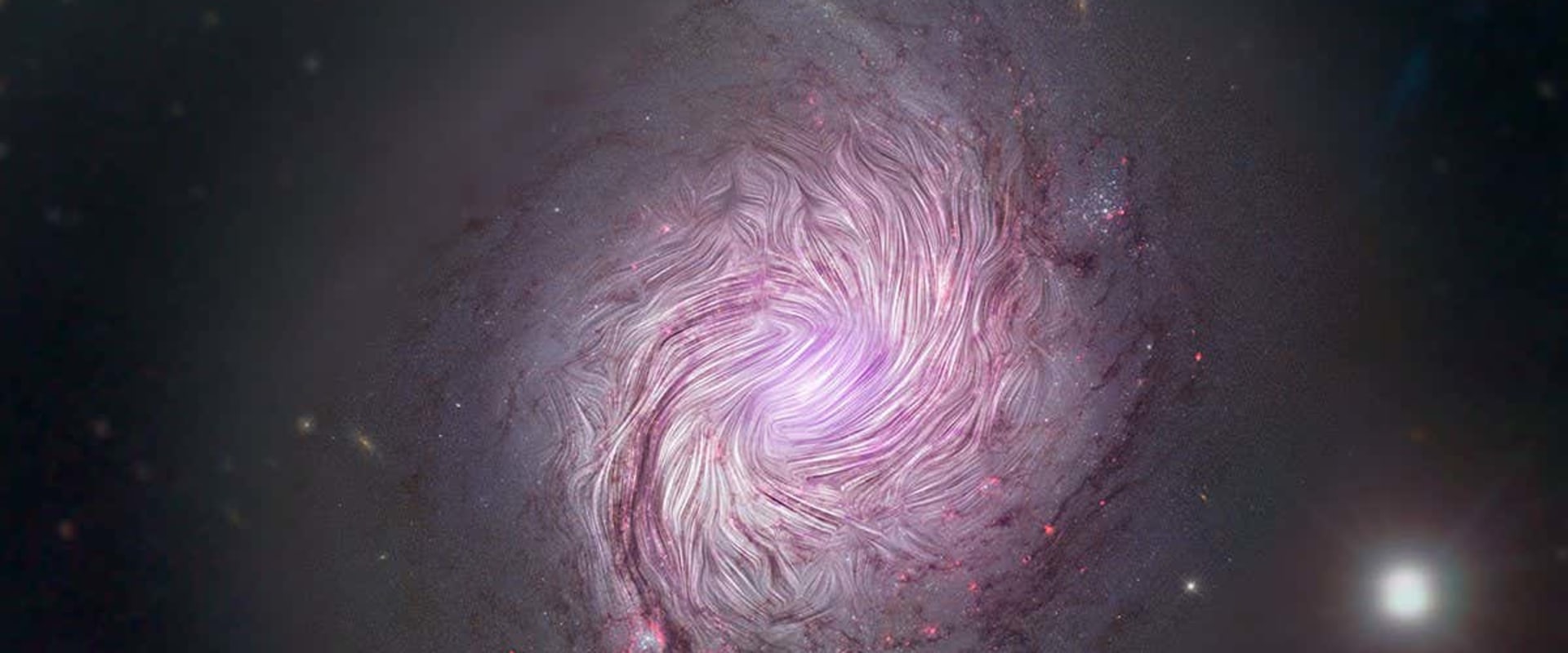 Exploring the Wonders of Magnetic Fields