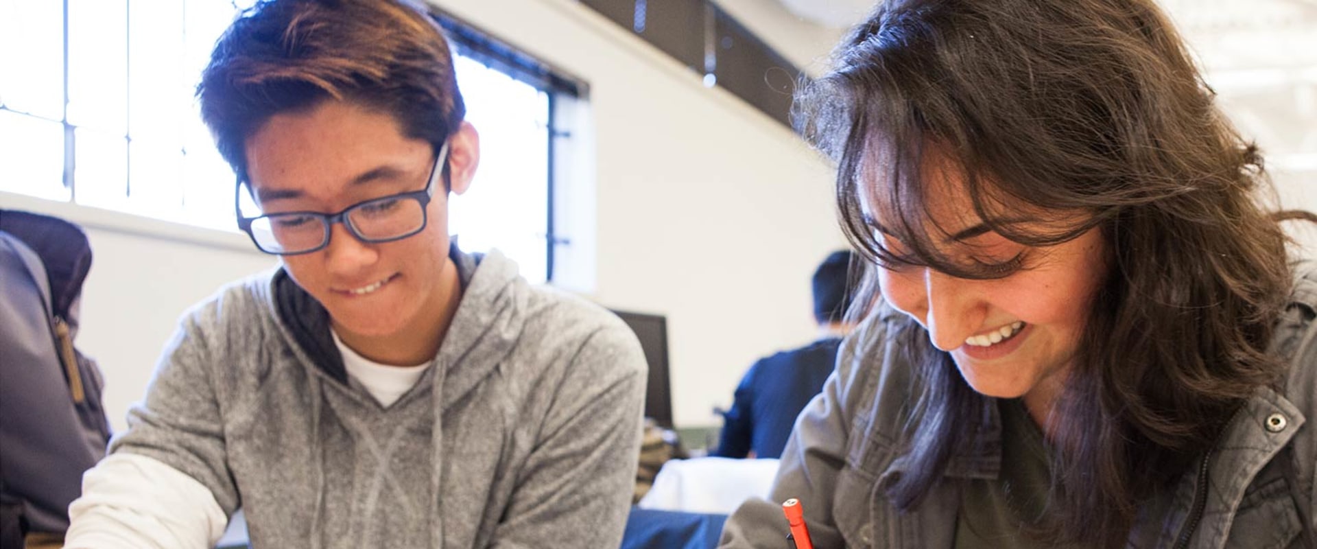 Understanding Curriculum Standards in Physics Education