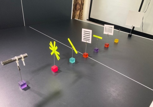 Understanding the Polarization Experiment